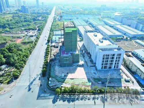 基建布局與技術革新并進 中國鐵塔大規模采購鋼管塔與華為高層變動觀察