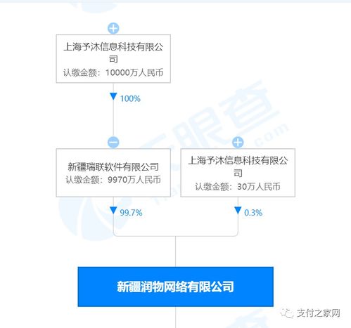 支付牌照再易主，網絡技術服務成新賽道